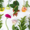 Bloemen + Tony’s pakket ‘Topper’  4