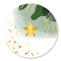 Sluitsticker jungle ster