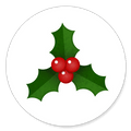 Sluitzegel hulst