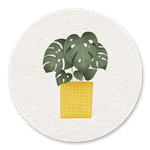 Plantje met kraft