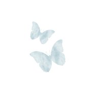 Vlinders blauw