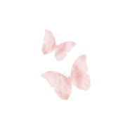Vlinders roze