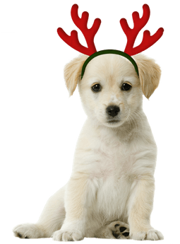 Figuur voor kerstkaart - page hondje met gewei