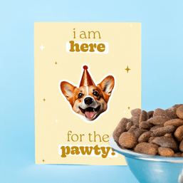 Beestachtige dierenteksten
