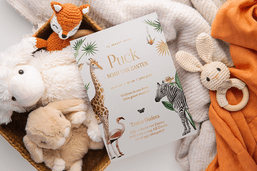 geboortekaartje met knuffels en dekentjes