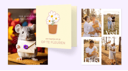 Zó makkelijk maak je een kaartje