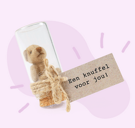 Beertje 'Knuffel voor jou'