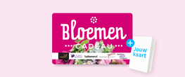 Bloemen Cadeau 15