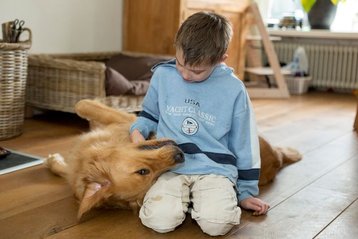 buddyhond autisme speelt samen met een kind