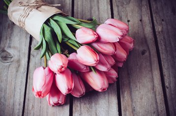Bos met rode tulpen