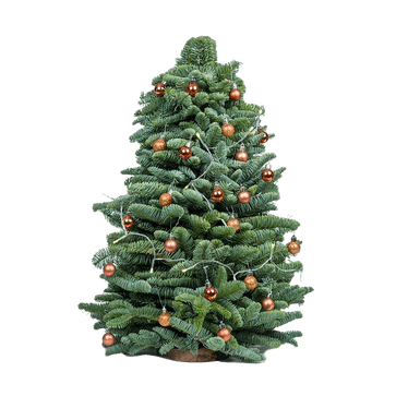 Kerstboompje met kerstversiering