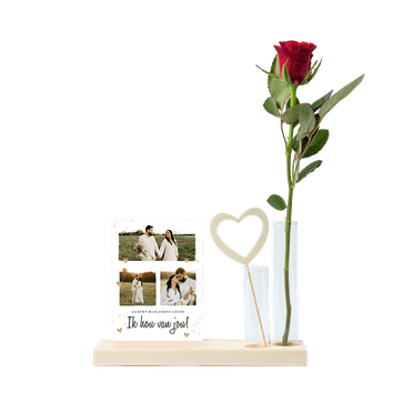 Roos met kaarthouder