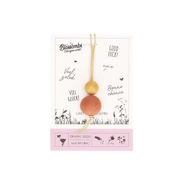 Zaadbommetjes ‘Geluk’ 