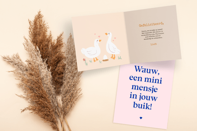 Gefeliciteerd, zwanger! 