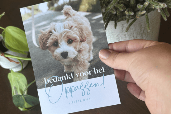 Vakantiekaart met 'bedankt voor het oppassen' 