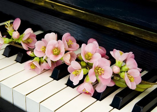 Piano met bloemen voor een uitvaart