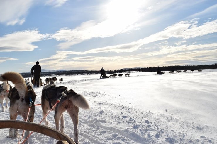 Witte kerst in Finland