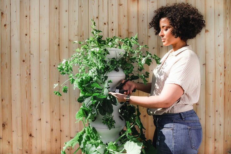 Moestuin voorbereiden