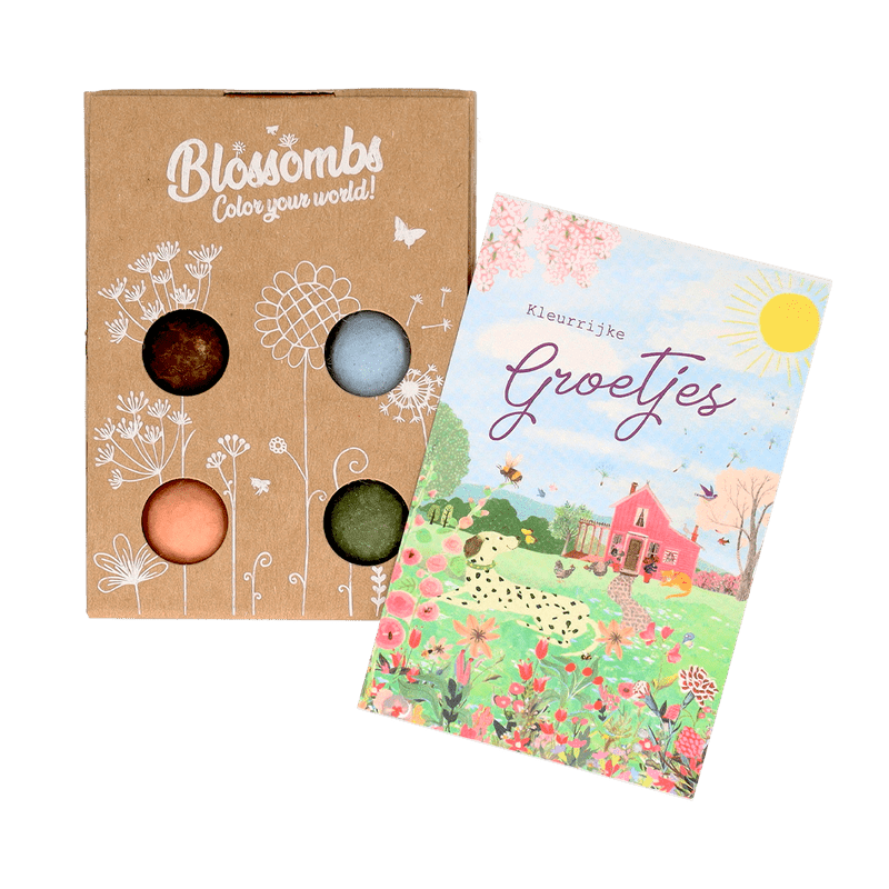 Zaadbommetjes ‘Kleurrijke groetjes’