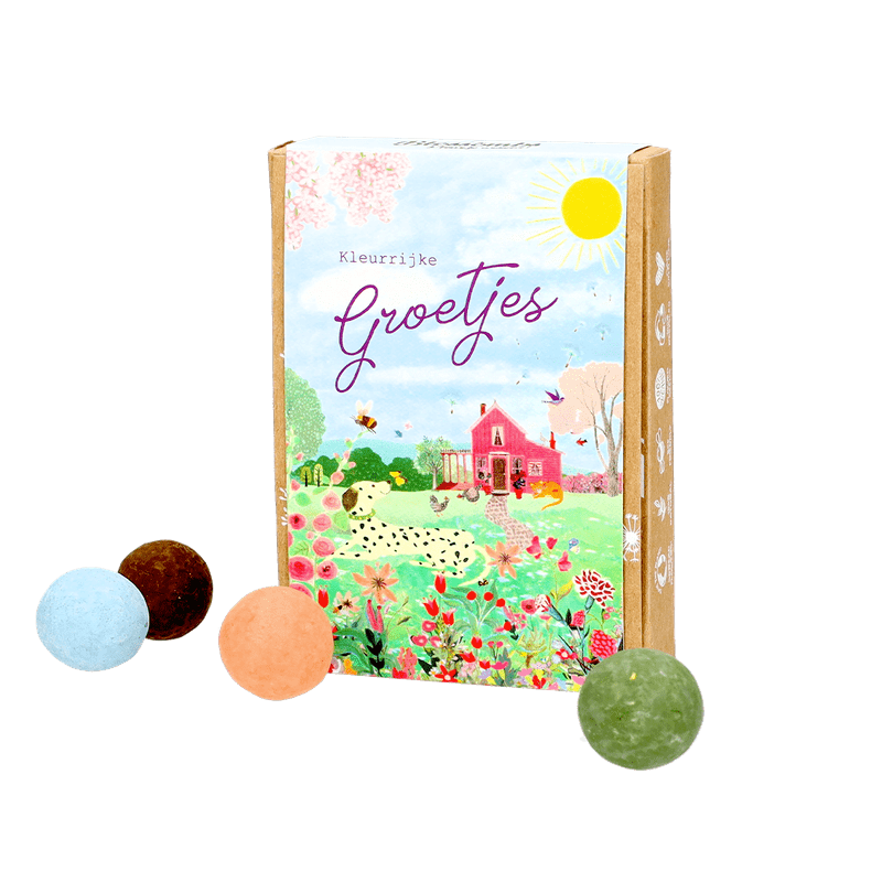 Zaadbommetjes ‘Kleurrijke groetjes’