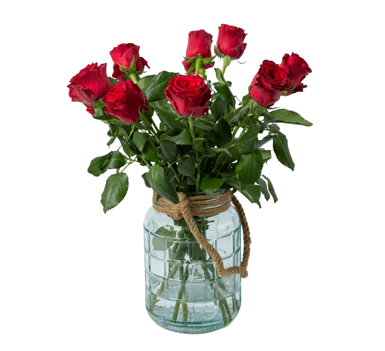 Bos rode rozen