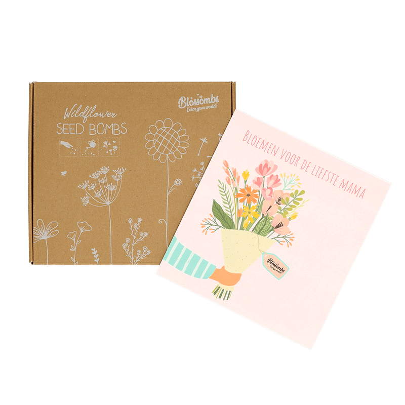 Zaadbommetjes ‘Moederdag’