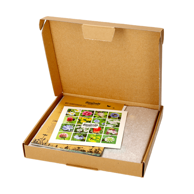 Zaadbommetjes ‘Moederdag’