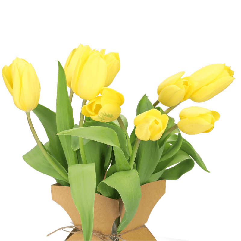 Verse gele brievenbustulpen