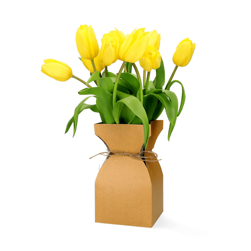 Verse gele brievenbustulpen