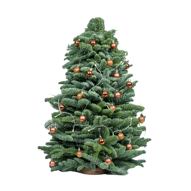 Kerstboompje met kerstversiering