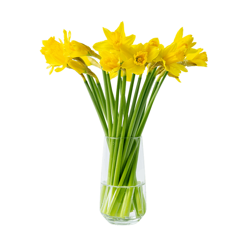 Boeket narcissen