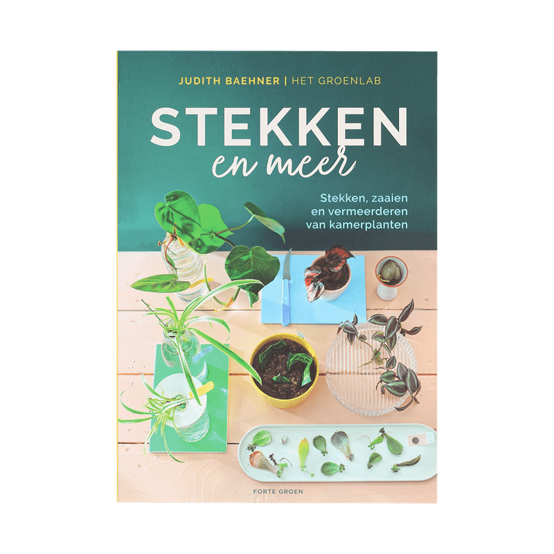 Boek Stekken en meer
