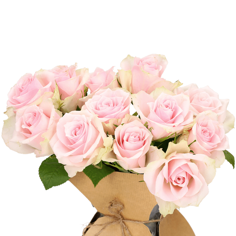 Verse roze brievenbusrozen