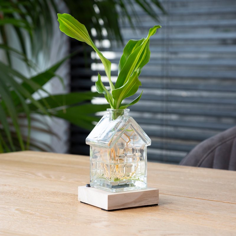 Huisvaasje met Dracaena stekje