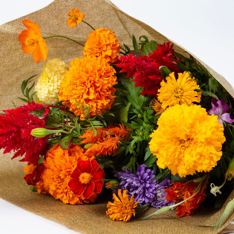 Duurzaam herfstboeket (medium)