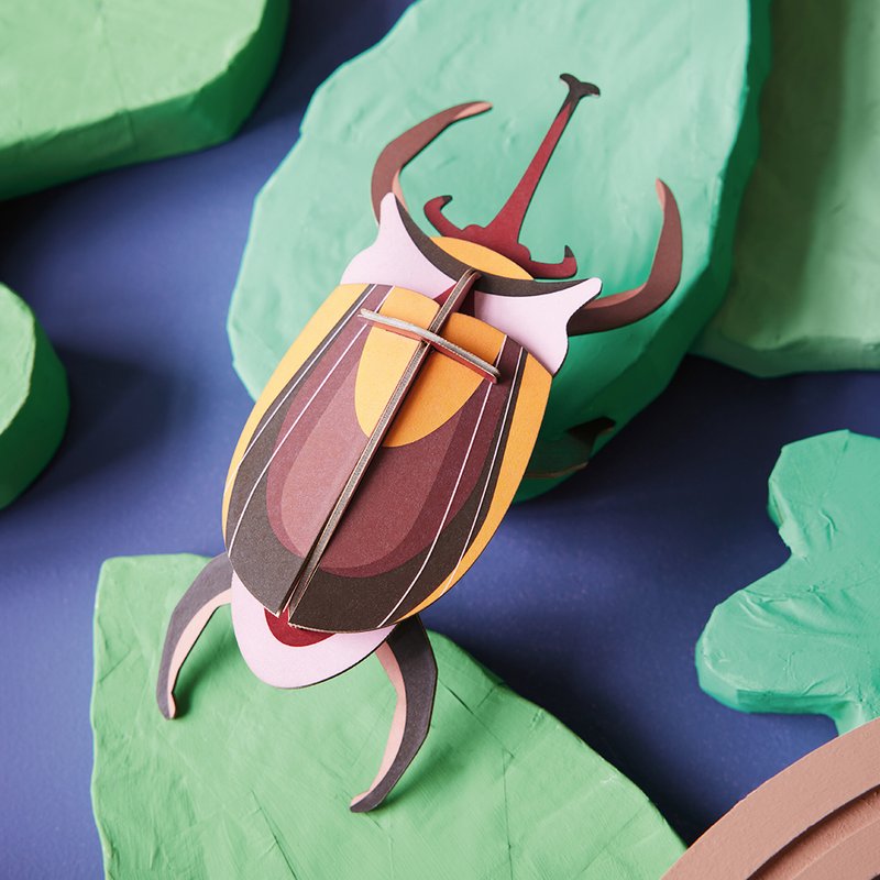 3D wanddecoratie kever 