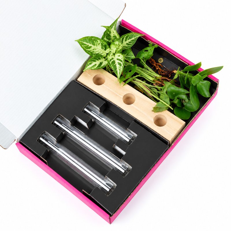 Cadeauset plantjes op water