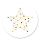 Ster connectie goud/wit