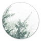 Kerstbomen met sneeuw