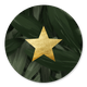 Jungle bladeren met ster