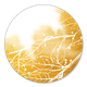 Bladeren met gouden waterverf