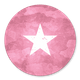 Army roze met ster