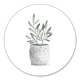 Waterverf plant
