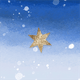 winter blauw ster SZ