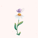 Vlinder met bloem