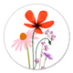 Kleurrijke veldbloemen