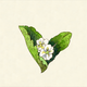 Bloemen_muis