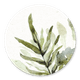 Christelijk - botanisch 1