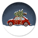 Auto met Kerstboom