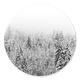 Besneeuwde Bomen